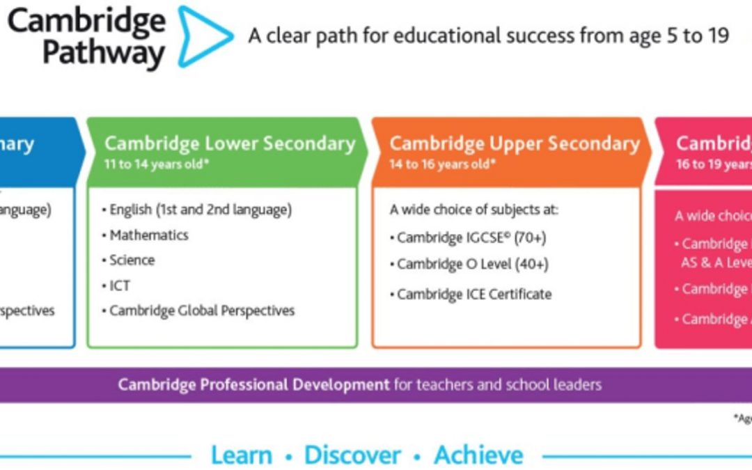 SCIA’s Curriculum Overview